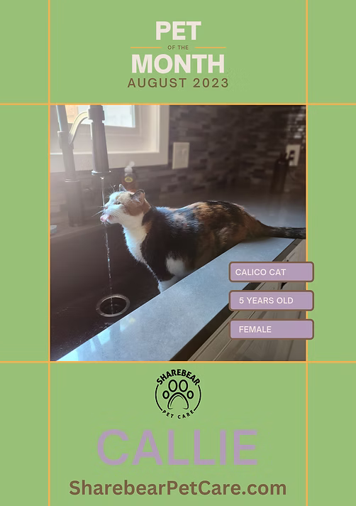 Callie, August 2023 Pet of the Month