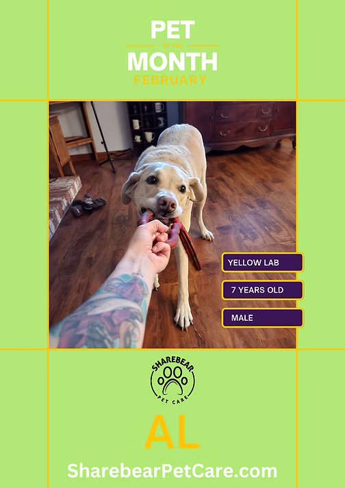 Al, February 2023 Pet of the Month