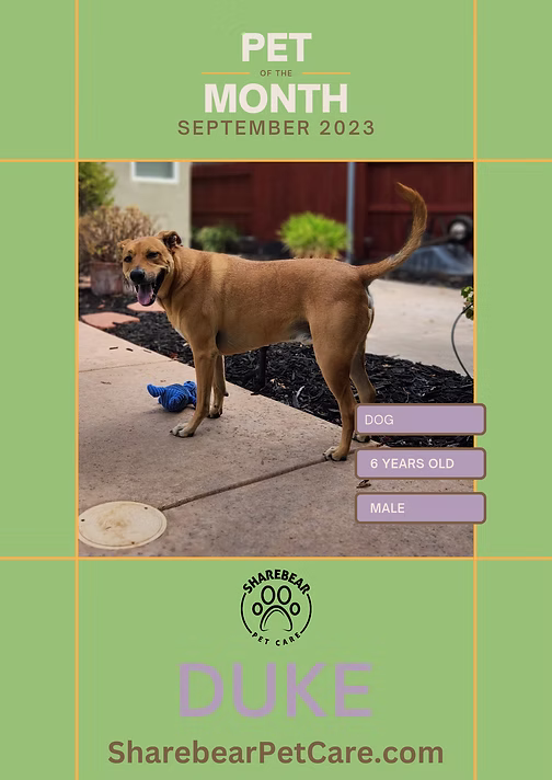 Duke, September 2023 Pet of the Month