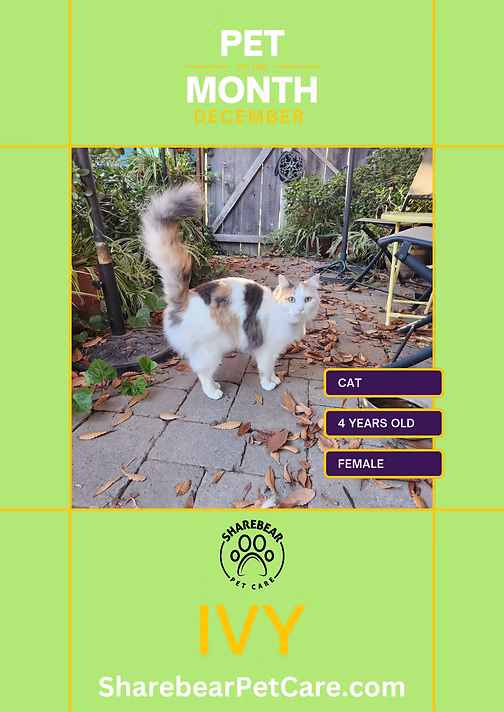 Ivy, December 2024 Pet of the Month