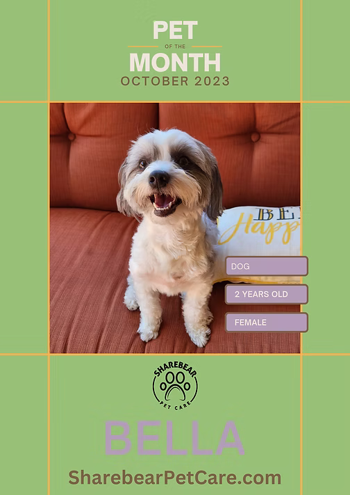 Bella, October 2023 Pet of the Month