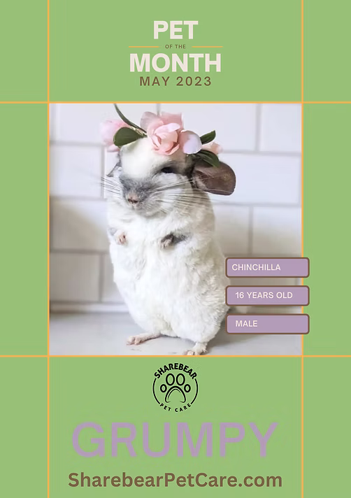 Grumpy, May 2023 Pet of the Month