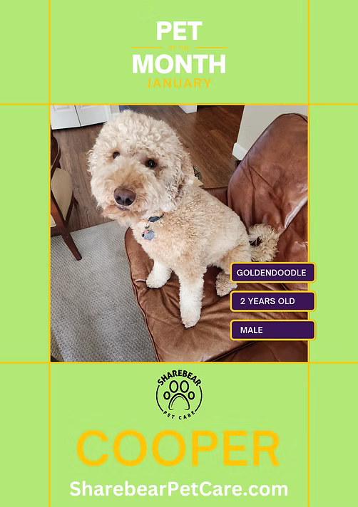 Cooper, January 2023 Pet of the Month
