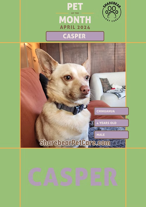 Casper, April 2024 Pet of the Month