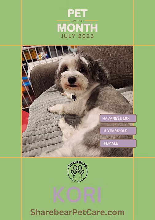 Kori, July 2023 Pet of the Month