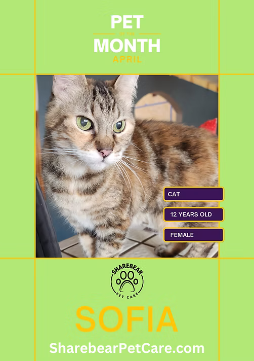 Sofia, April 2023 Pet of the Month