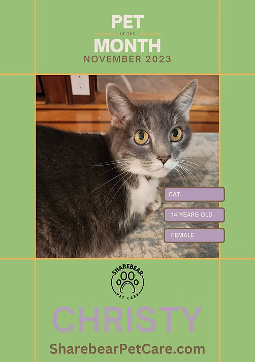 Christy, November 2023 Pet of the Month
