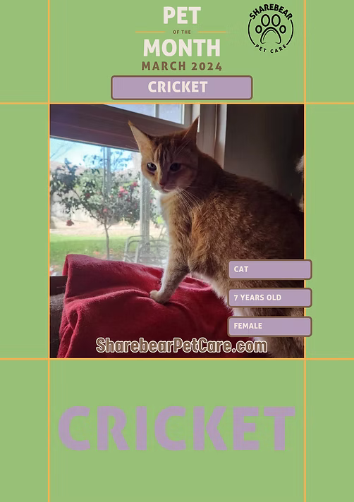 Cricket, March 2024 Pet of the Month