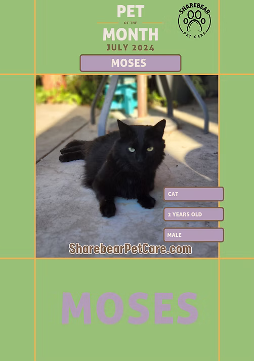 Moses, July 2024 Pet of the Month