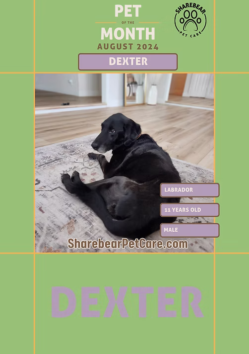 Dexter, August 2024 Pet of the Month