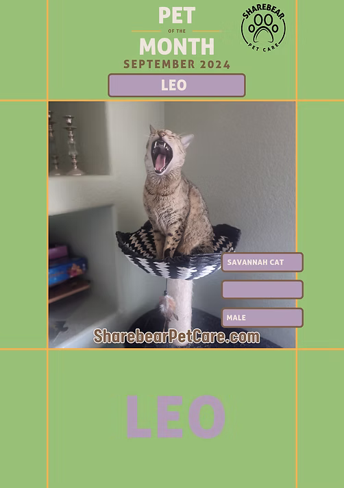 Leo, September 2024 Pet of the Month