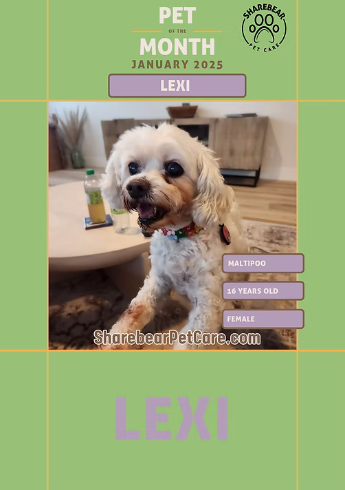 Lexi, January 2025 Pet of the Month