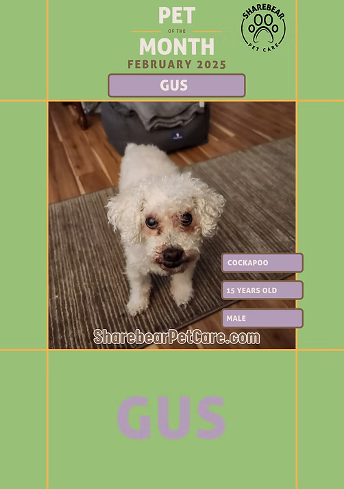 Gus, February 2025 Pet of the Month