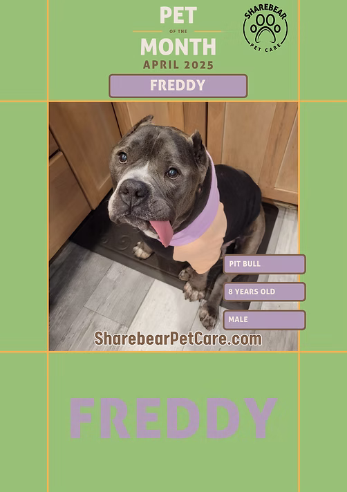 Freddy, April 2025 Pet of the Month