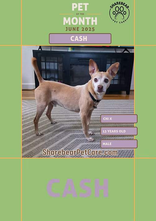 Cash, June 2025 Pet of the Month