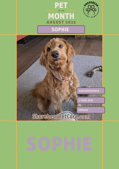 Sophie, August 2025 Pet of the Month