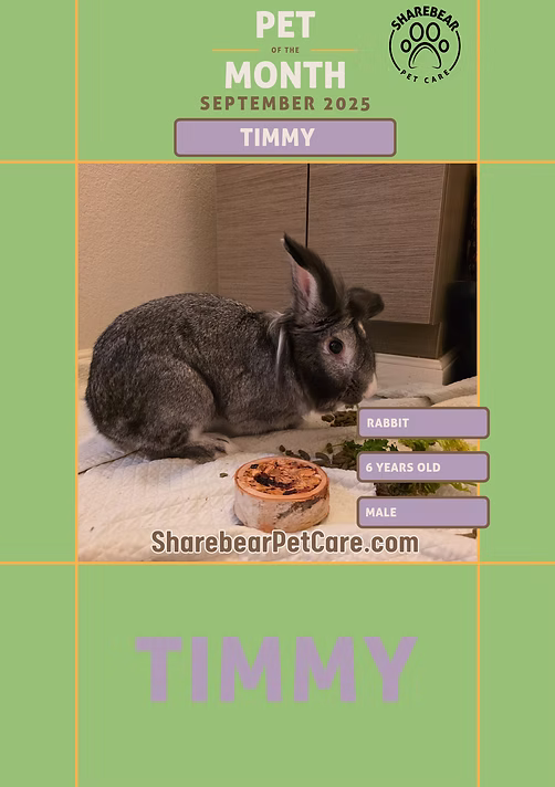 Timmy, September 2025 Pet of the Month