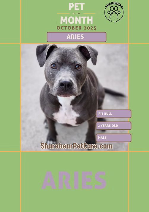Aries, October 2025 Pet of the Month