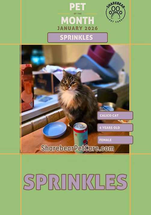 Sprinkles, January 2026 Pet of the Month